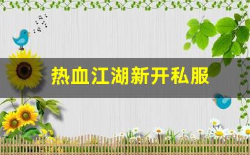 热血江湖新开私服 (8)