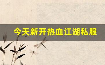 手游sf网：今天新开热血江湖私服 (4)