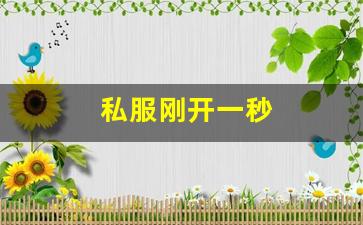 刚开私服：私服刚开一秒(新区刚开一秒传奇) (5)