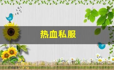 热血私服(热血游戏官网)