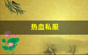 热血私服(热血官网首页)