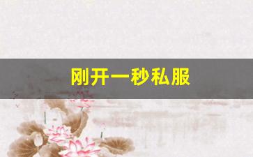 刚开一秒私服(刚开一秒传奇) (2)