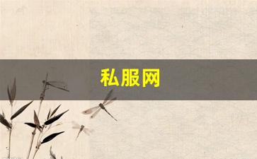 手游sf网：私服网(手游私sf平台) (2)