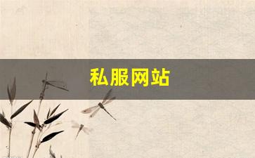 私服发布网：私服网站(sf999传奇新服网) (8)