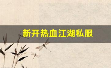 最新热血江湖私服网：新开热血江湖私服 (16)