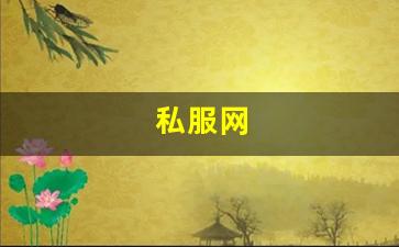 私服网(手游私sf平台) (13)