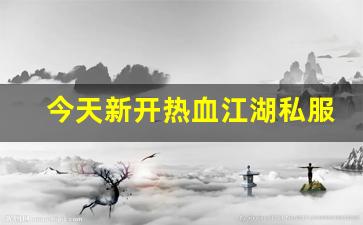 热血江湖 sf：今天新开热血江湖私服 (14)