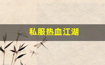 私服热血江湖(热血江湖传手游) (2)