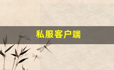 私服客户端 (10)