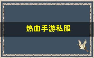 热血手游私服(热血手机版) (2)