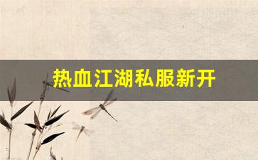 最新热血江湖：热血江湖私服新开 (12)
