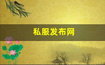刚开一：私服发布网(手游私sf平台) (3)