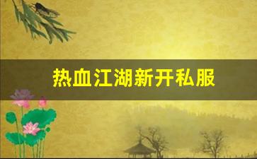 热血江湖新开私服 (12)