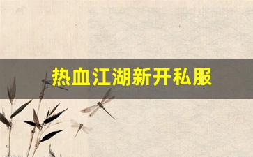 热血江湖新开私服 (6)